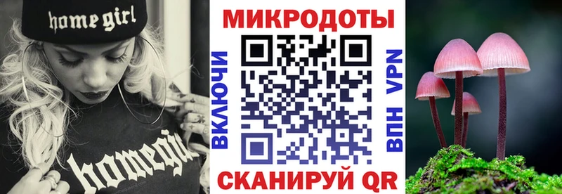 Купить  Зуевка  Галлюциногенные грибы прущие грибы 